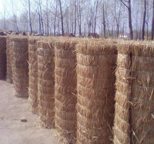 當(dāng)溫室大棚遇到暴雪該如何應(yīng)對 今天簡單和大家分享一下