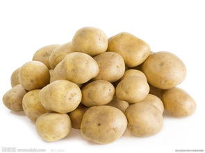 土豆 農副產品 費縣明群農副產品果樹苗木調撥基地